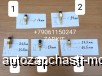  m23636046 |         Higer , Yutong  . King Long  